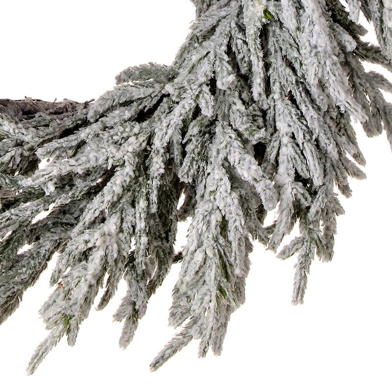 24" Real Touch Flocked Norfolk Pine Wreath - Frosted Green - 24-Inch