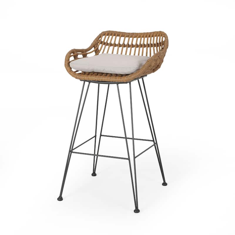 Dale Outdoor Wicker 30 Inch Barstools (Set of 2) by Christopher Knight Home