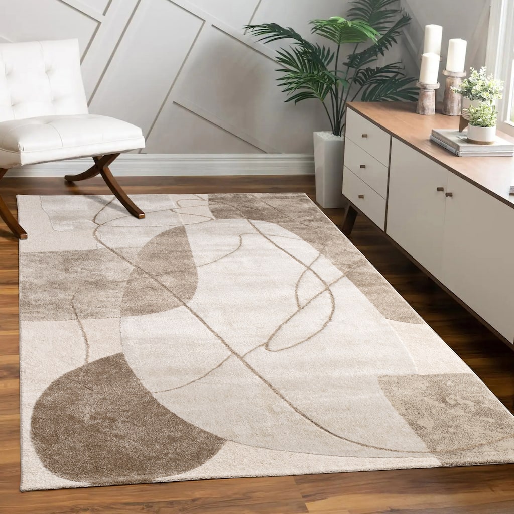 Elegant Area Rug with Modern Abstract Art Design