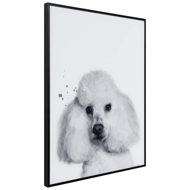 "Poodle" Black and White Pet Portraits on Reverse Printed Art Glass, Minimally Encased on Black Anodized Aluminum Frame