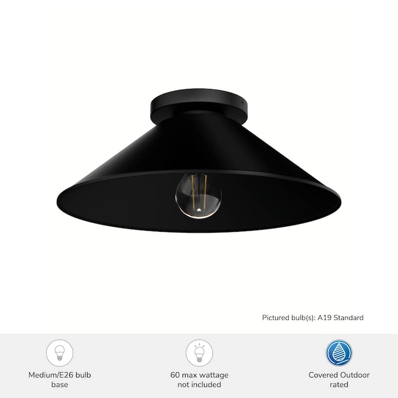 Hunter Skyflow Outdoor 1-Light 14" Flush Mount Ceiling Light - Transitional, Modern Rustic - Wet-Rated!