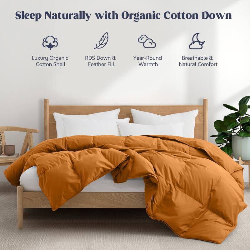 All Season 100% Organic Cotton Down Duvet Insert Medium Warmth Comforter - Twin - Fawn