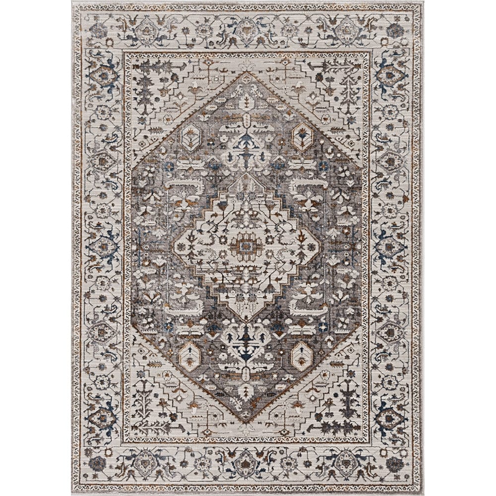 Strick & Bolton Renew Traditional Medallion Area Rug