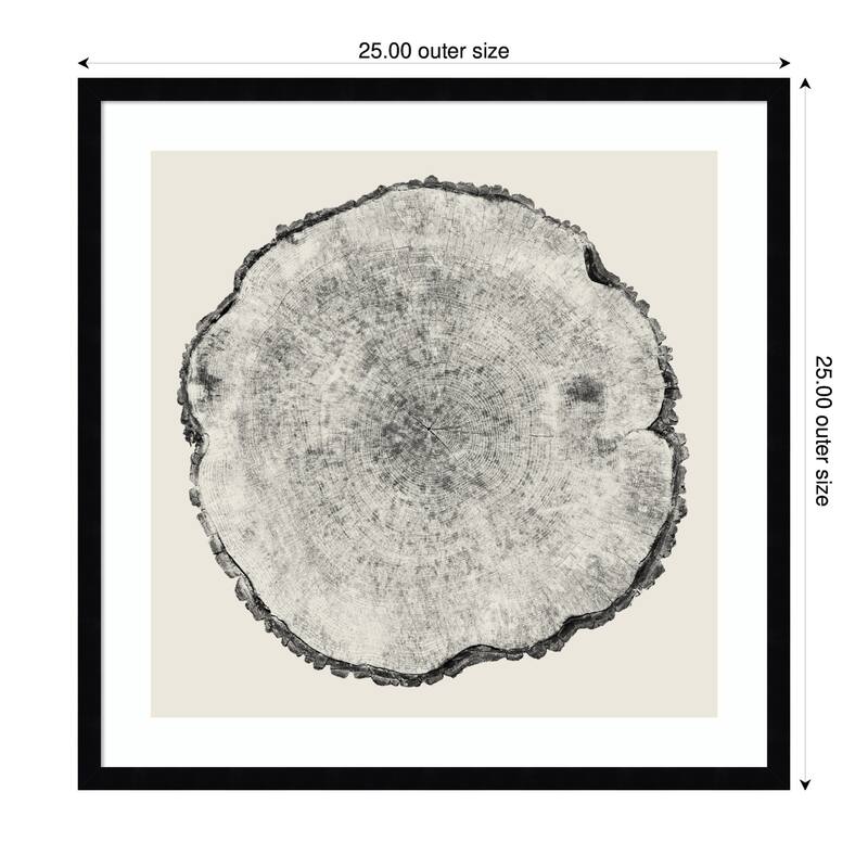 Kate and Laurel Tree Rings No. 1 by Emiko and Mark Franzen F2 Images Framed Wall Art Print