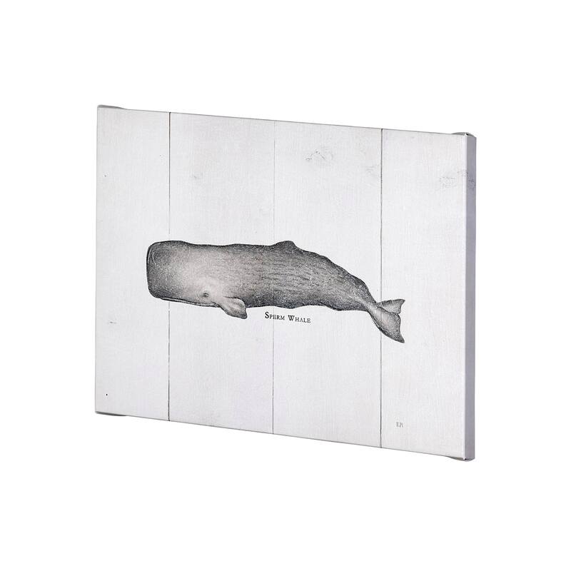 Sperm Whale (26 x 20) Canvas Art Print