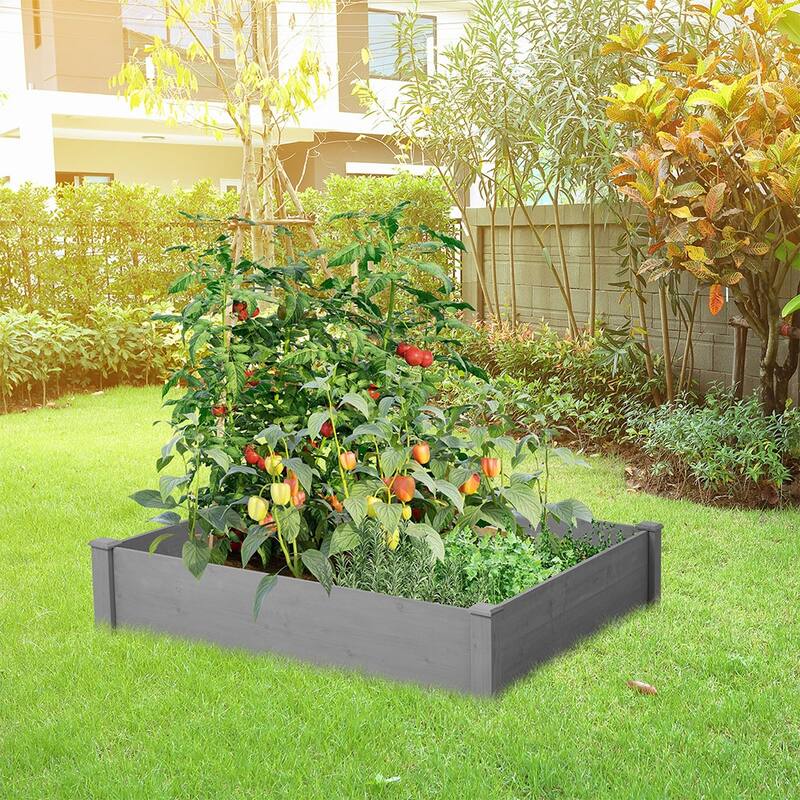 Cedar Wood Outdoor Raised Garden Bed Kit, Planter Box, Tool-Free Assembly - 48 in. (W) x 48 in. (D) x 10 in. (H)