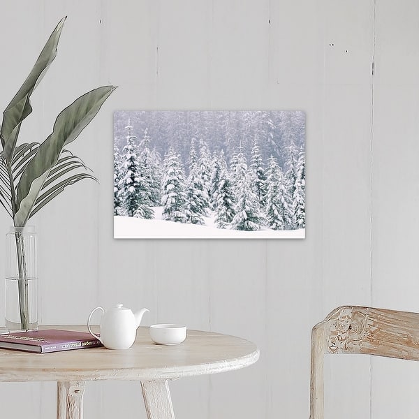 slide 2 of 6, "Snow covered pine trees" Canvas Wall Art 24" x 16"