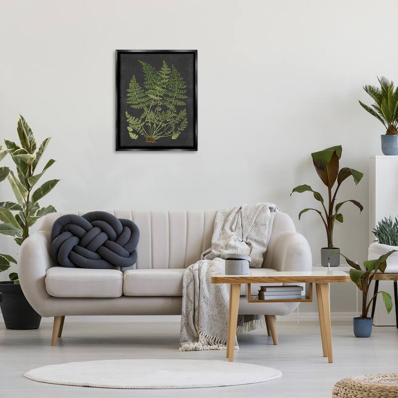 Stupell Botanical Drawing Green Black Design Floater Frame