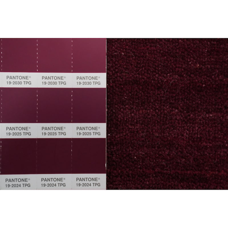 Hand Knotted Oriental 100% Wool Carpet Tribal Animal Pictorial Red Gabbeh Area Rug - 7' 10'' X 8' 4''