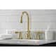 Option Polished Brass