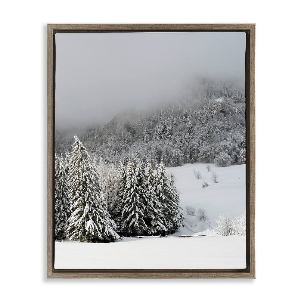 Stupell Winter Snowscape Woodland Trees Framed Floater Canvas Wall Art by Lil' Rue