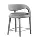 preview thumbnail 32 of 44, Pinnacle Performance Velvet Counter Stool Set of Two