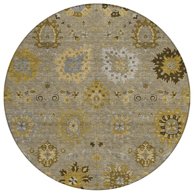 Machine Washable Indoor/ Outdoor Vintage Traditional Chantille Rug