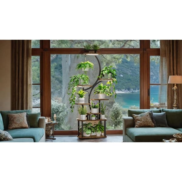 chrue philodendron Philodendron Rubrijuvenile El Choco Red
