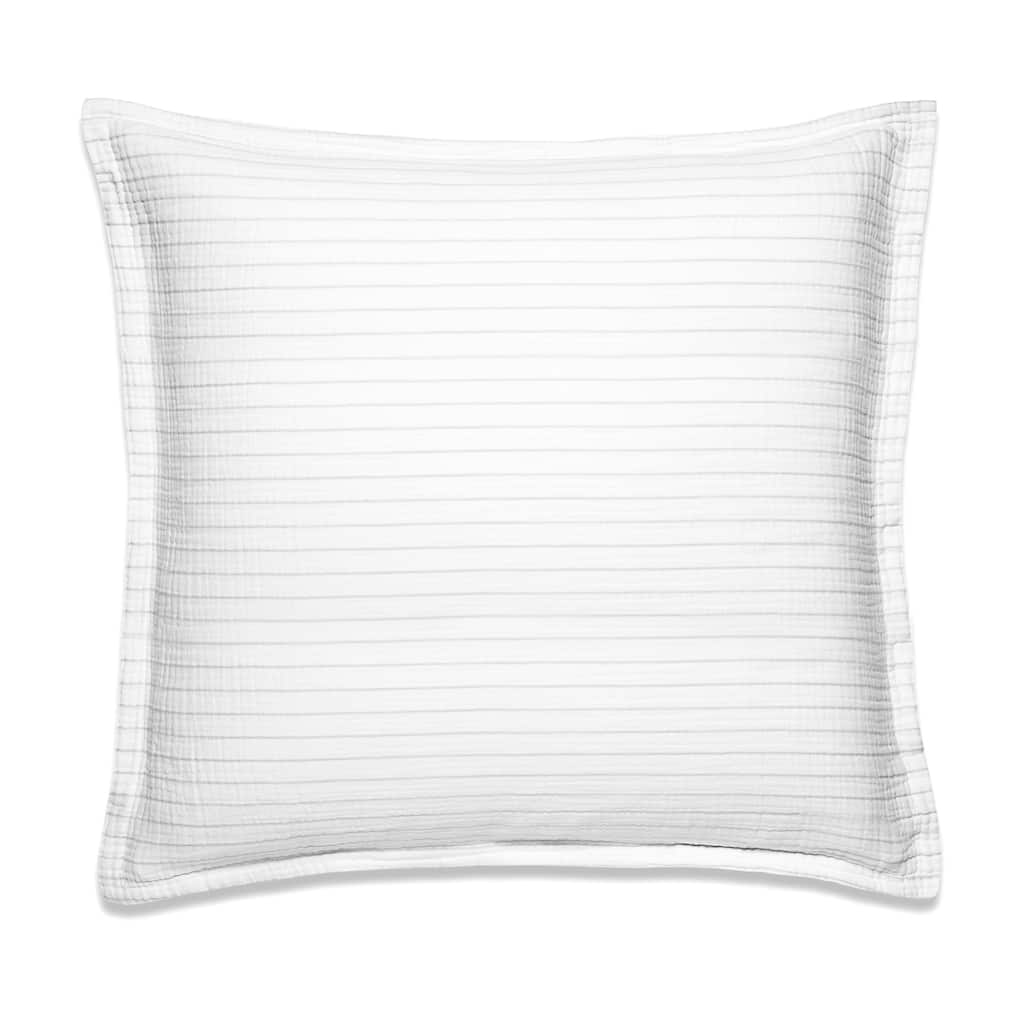 Airply Stripe Euro Sham