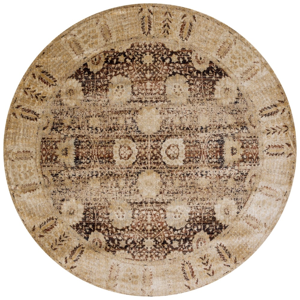 Alexander Home Contessa Traditional Floral Distressed Border Rug