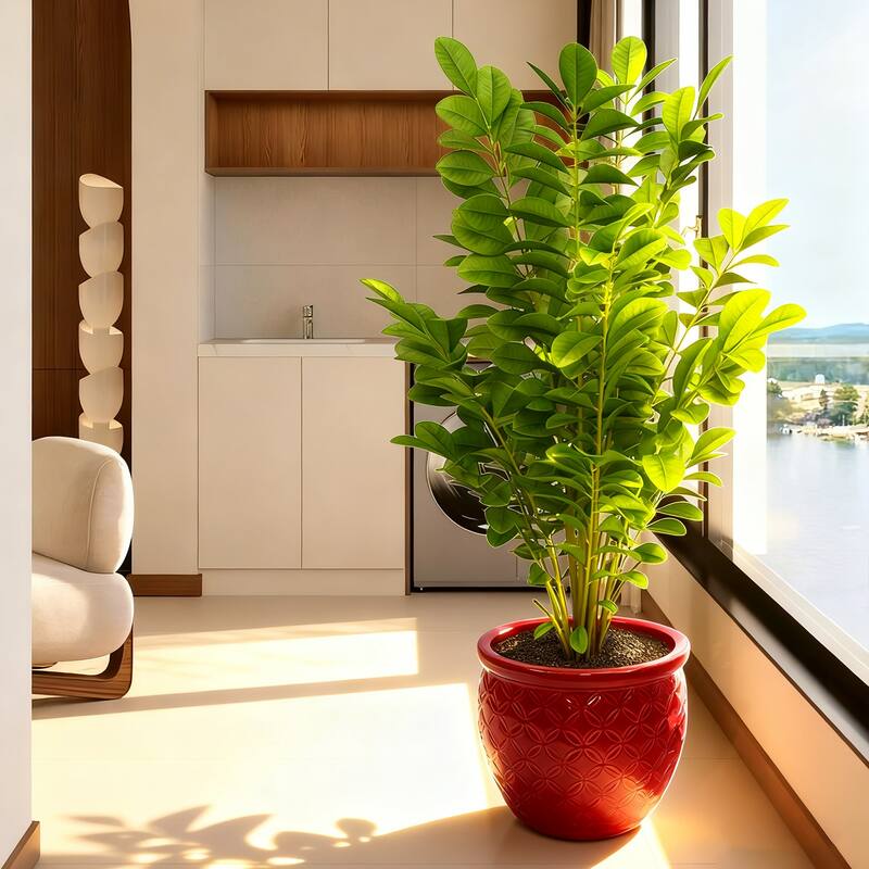 3 Pack Handmade Glazed Ceramic Planter, Ring Pattern Planter Pot