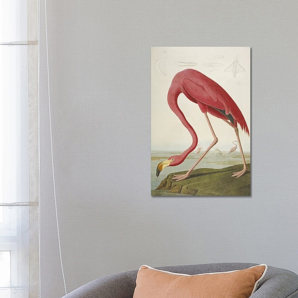 iCanvas 'American Flamingo' by John James Audubon Canvas Print