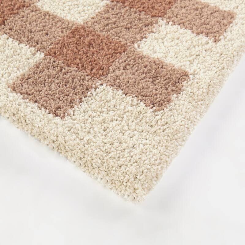 March Gingham Shag Area Rug