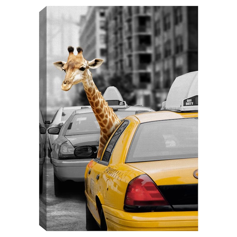 Urban Jungle II by Belle Maison Canvas Art Print