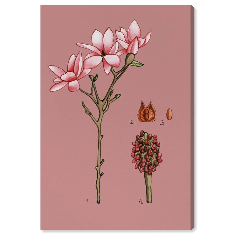 Wynwood Studio Canvas Floral and Botanical Pink Flower Fruit Pink and Rustic Wall Art Canvas Print