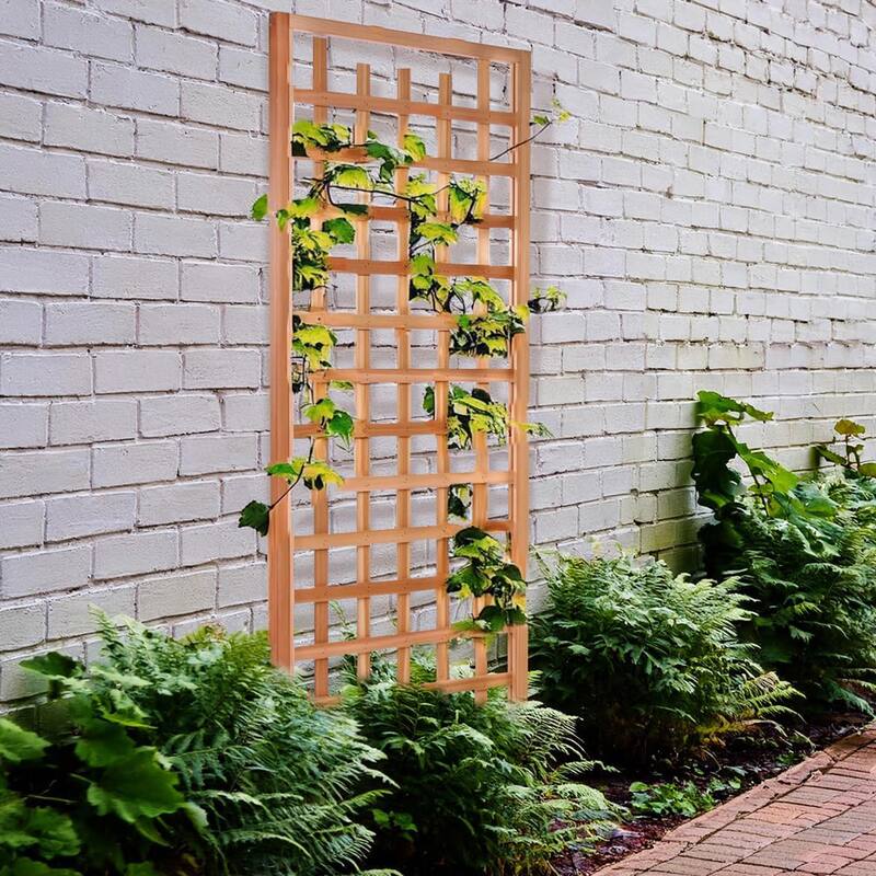 All Things Cedar 84"x33" Outdoor Single Trellis Handcrafted for Climbing Plants - 14