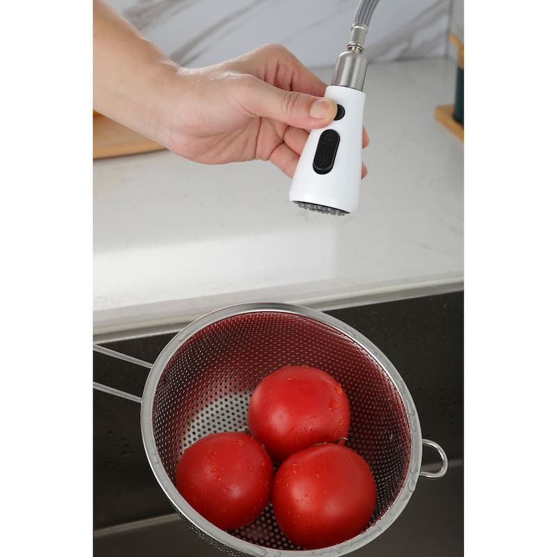 Pull Out Spray Kitchen Faucet