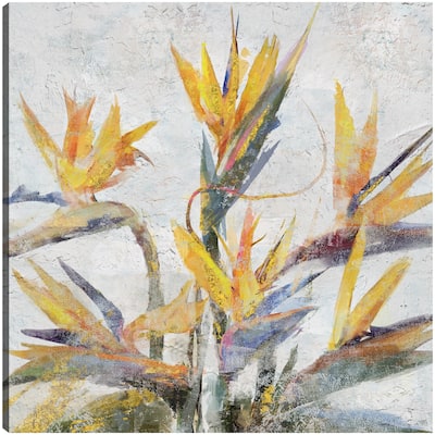 Bird of Paradise By Studio Arts Canvas Art Print