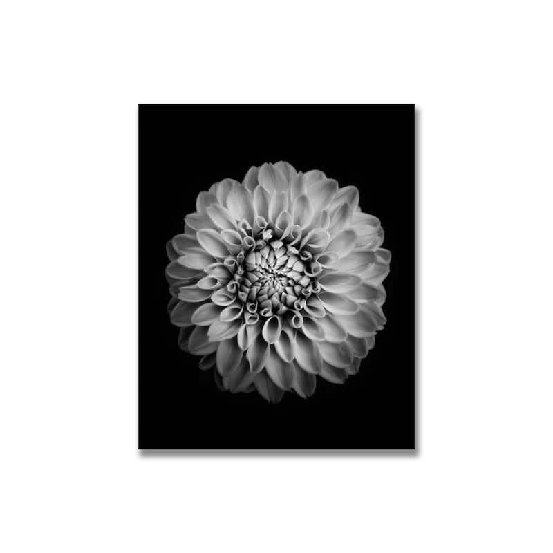 "Marigold" Framed Print Wall Art by Alex Zhao