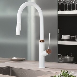 Rbrohant High-Arc Single Handle Gooseneck Pull Down Sprayer Kitchen Faucet