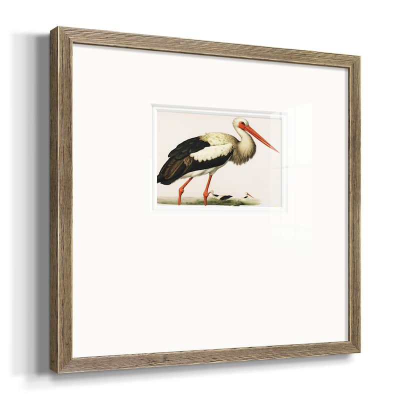 Odd CranePremium Framed Print