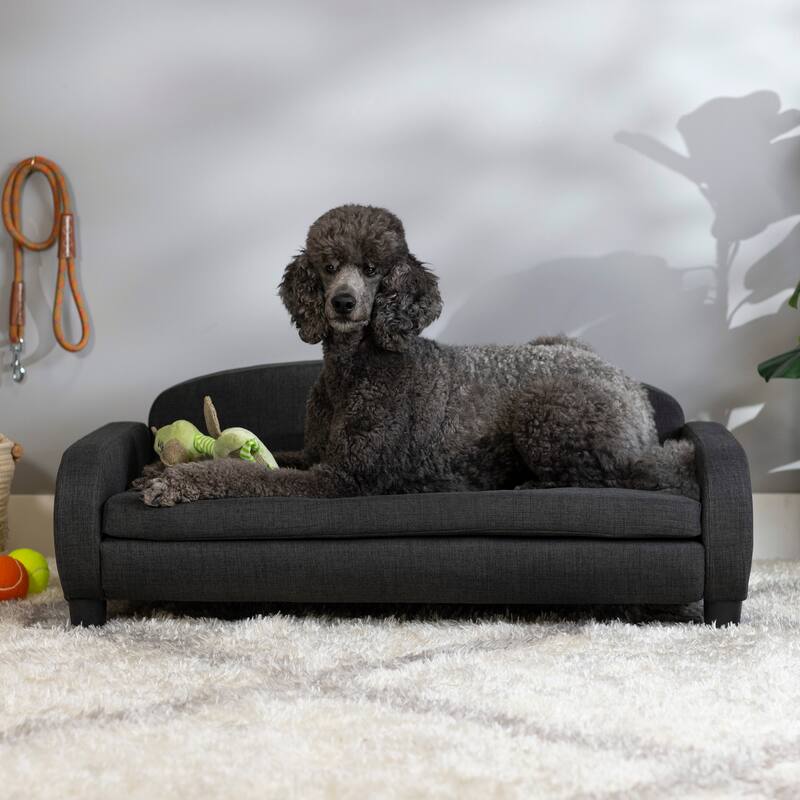 Paws & Purrs Modern Pet Sofa Bed Low-Back Lounger for Dogs & Cats – Removable Washable Mattress Cover