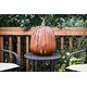 preview thumbnail 6 of 16, Desert Steel Orange Tall Pumpkin Luminary