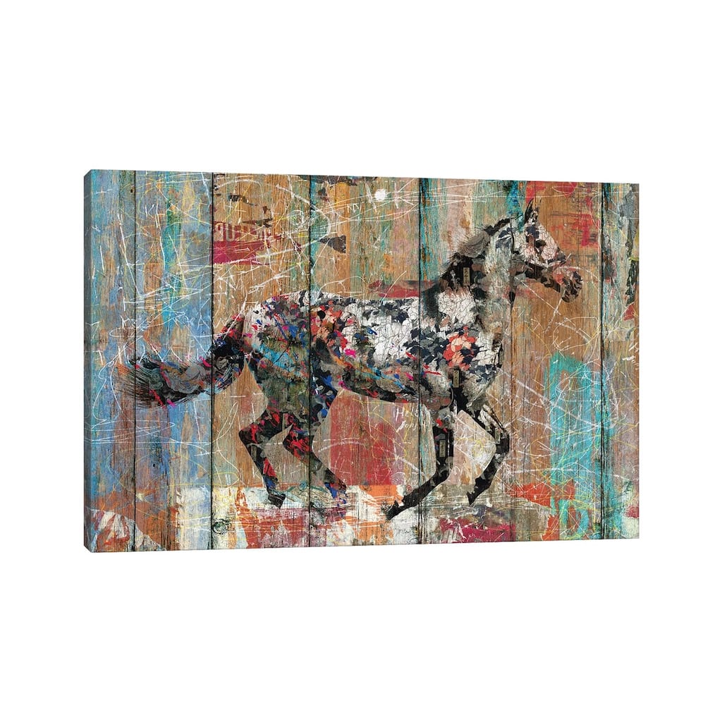 iCanvas "Source of Life (Wild Horse)" by Diego Tirigall Canvas Print