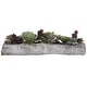 preview thumbnail 2 of 2, Uttermost Charita Lush Succulents