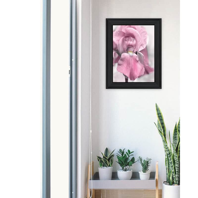 TrendyDecor4U "Pink Iris" Framed Print Wall Art