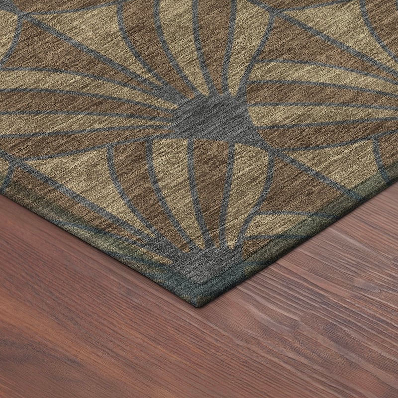 Machine Washable Indoor/ Outdoor Casual Kim Chantille Rug