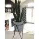 1.8FT Height Artificial Snake Plant - ONE-SIZE