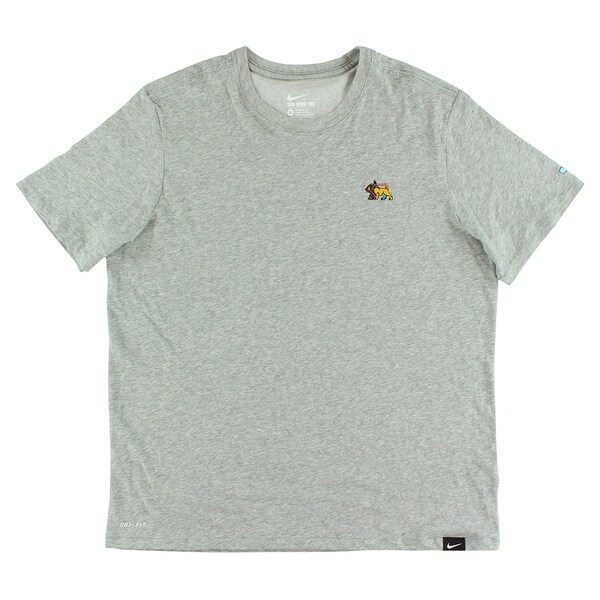 lebron james lion nike shirt