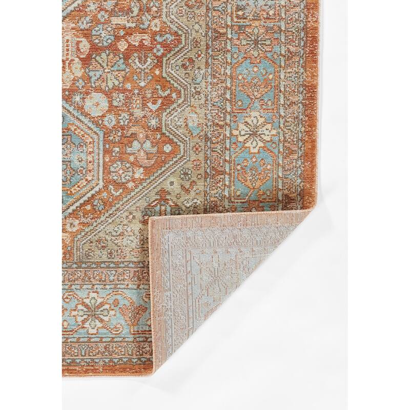 Momeni Lillihan Traditional Medallion Area Rug
