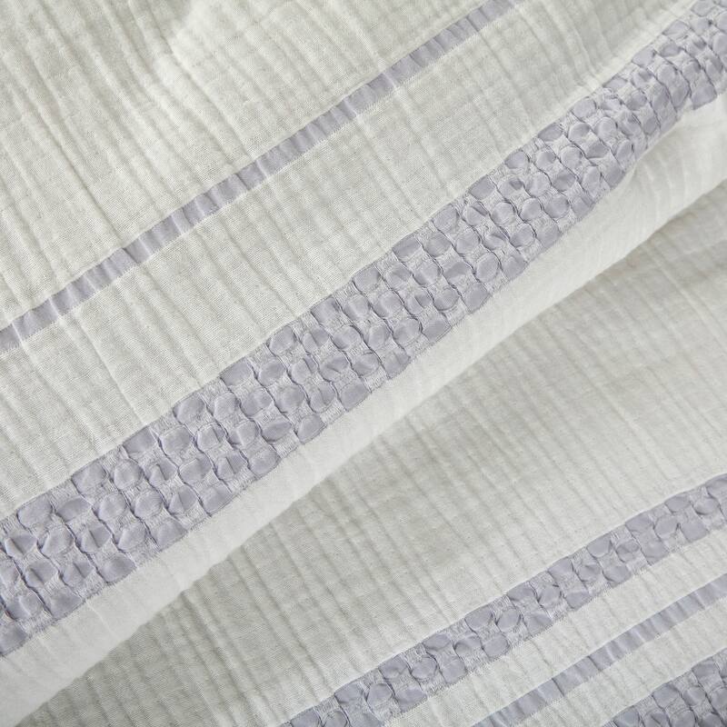 Splendid Pace Comforter Set