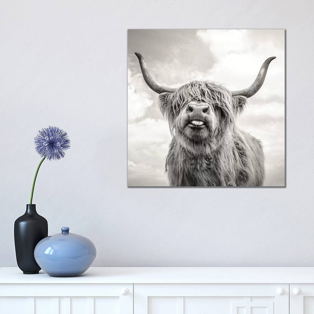 iCanvas 'Funny Girl' by Mark Gemmell Canvas Print