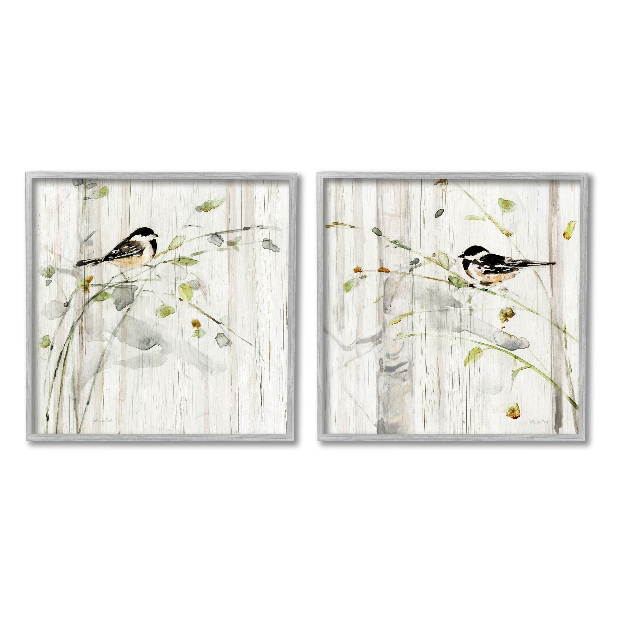 Stupell Perched Birds Country Botanicals 2 Piece Framed Giclee Art Set by Sally Swatland
