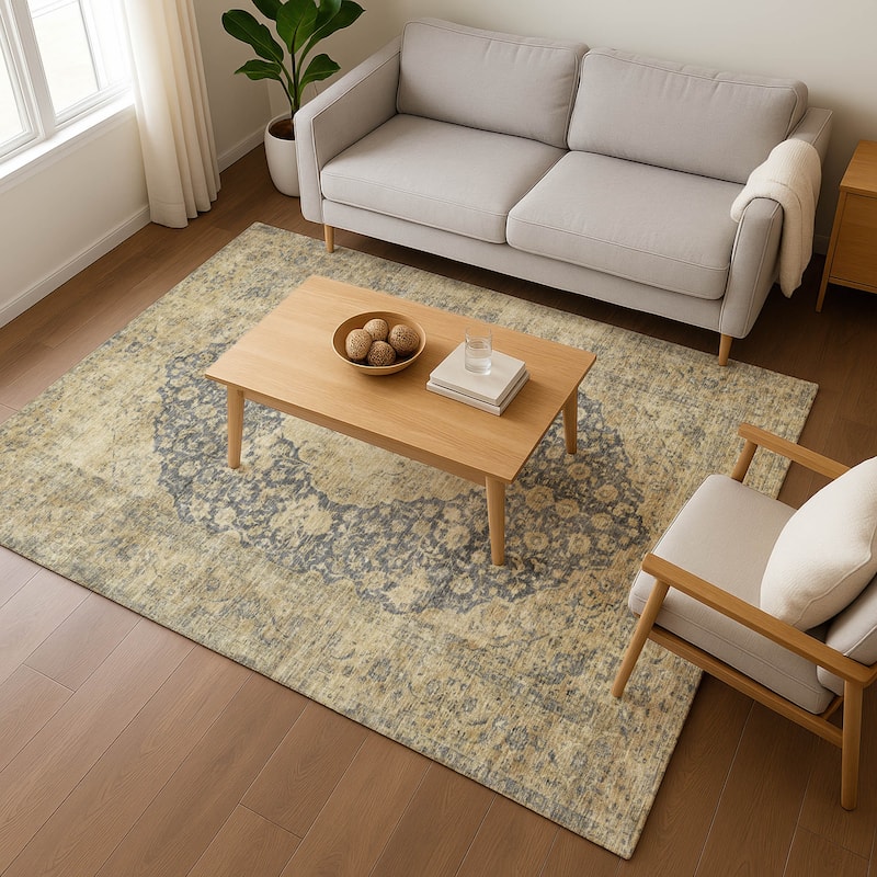 Premium Washable Super Soft Vintage Traditional Mayfield Rug