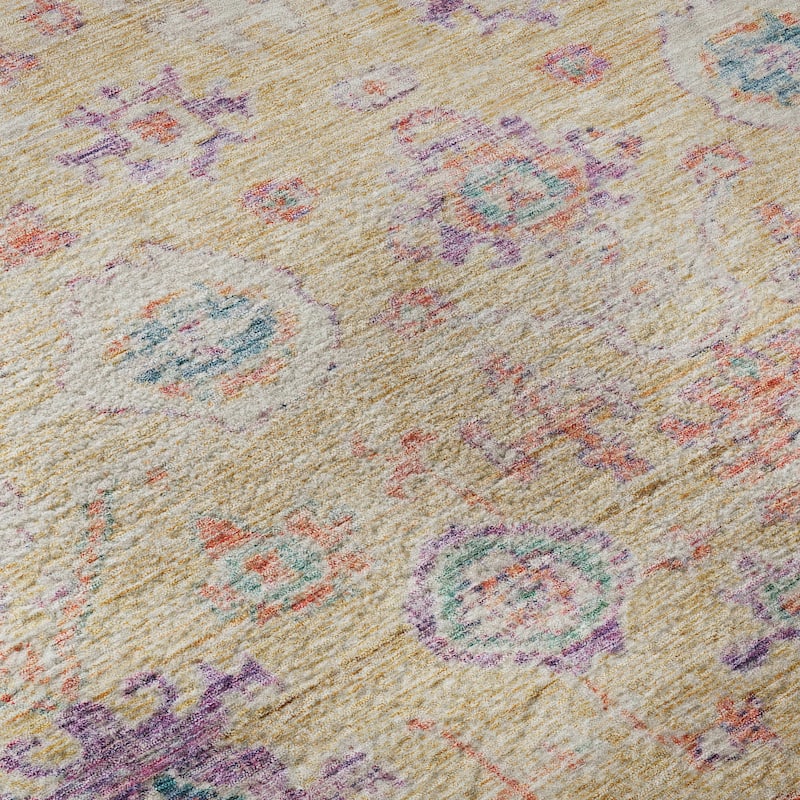 Premium Washable Super Soft Vintage Traditional Mayfield Rug