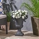 preview thumbnail 1 of 17, Delphine Roman Chalice Lightweight Concrete Planter by Christopher Knight Home Black