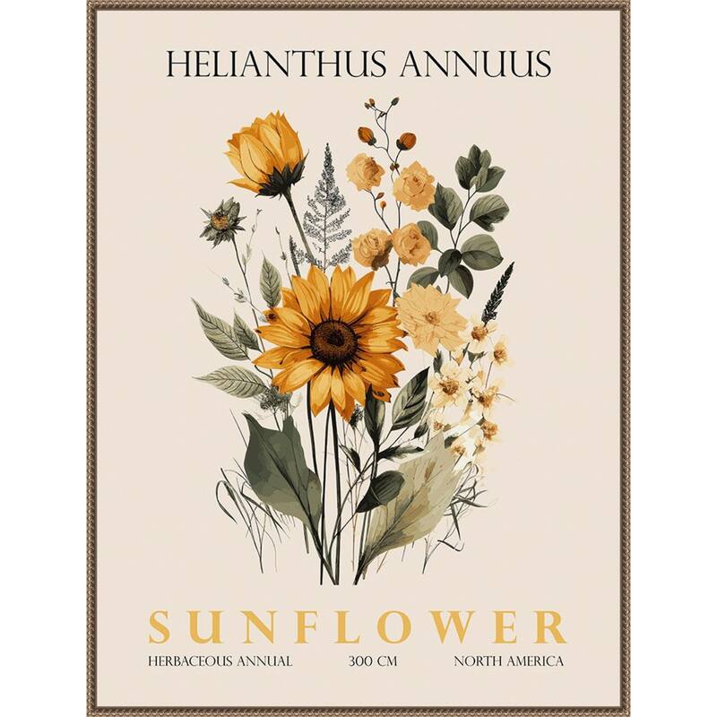 Vintage Botanical Sunflower No. 2 Illustration by Christopher Giampietro Framed Canvas Wall Art Print