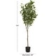 preview thumbnail 11 of 14, Green Faux Foliage Eucalyptus Artificial Tree with Realistic Leaves and Black Plastic Pot