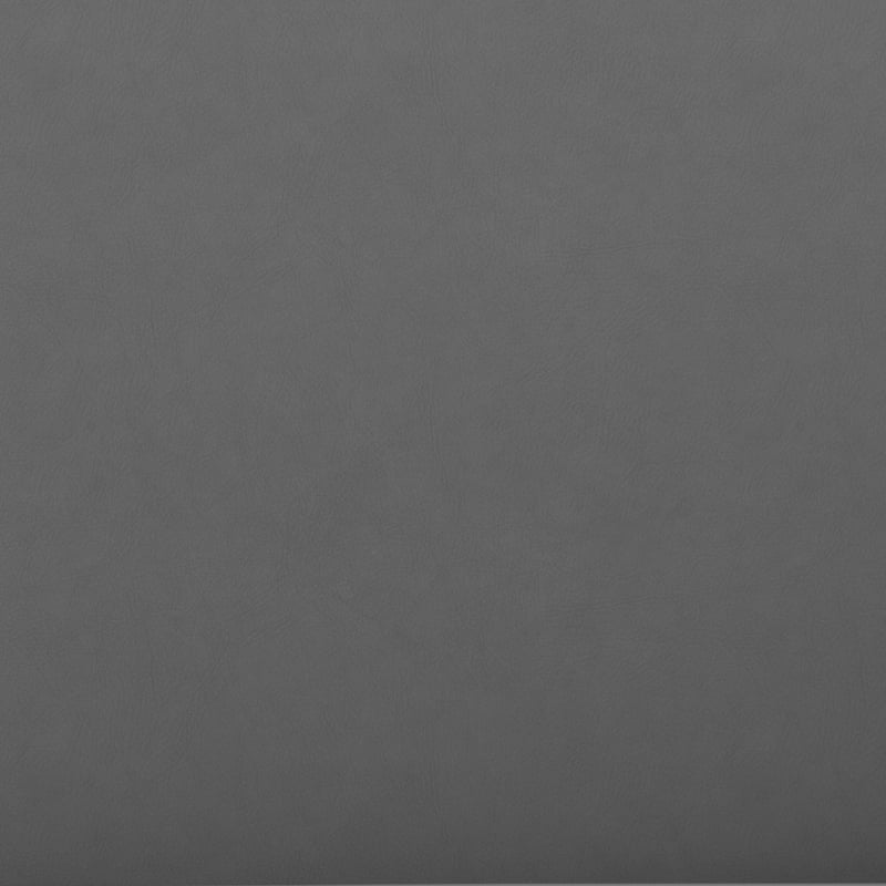 Contemporary LeatherSoft Sofa with Double Bar Encasing Frame