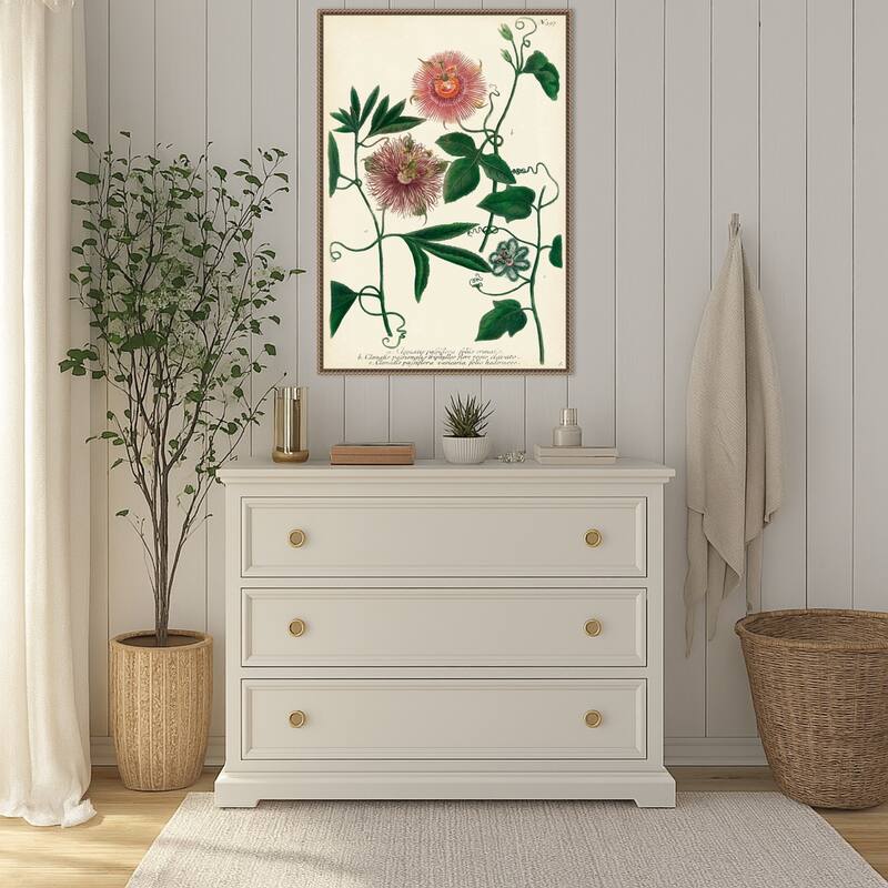 Antique Passion Flower No. 1 by Johann Wilhem Weinmann Framed Canvas Wall Art Print